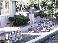 Luann in Bricks