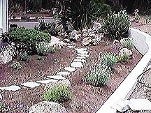 The Path From the Street
