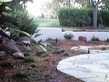 The Patio and Beyond