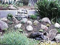 The Fountain Area