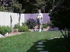 The back yard
