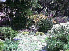 Path to the Patio