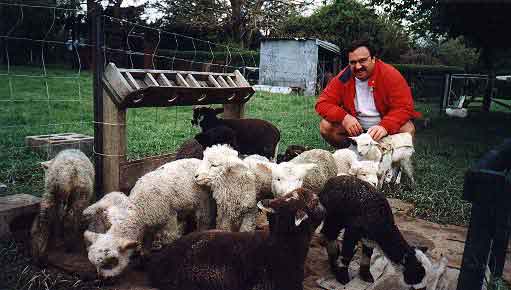 Rudy with some lambs and goats